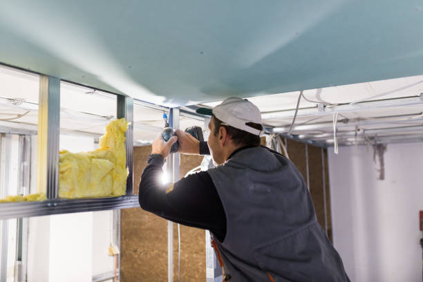 Professional Insulation Contractor in Dupont, PA